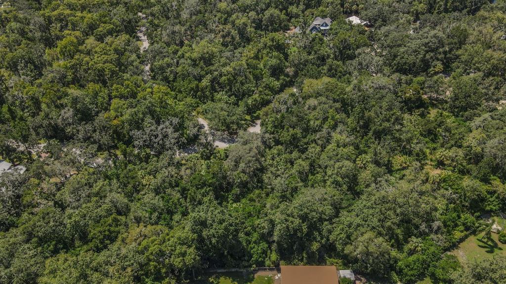 4808 Rambling River Road Brandon, FL 33511 - Photo 11 of 11