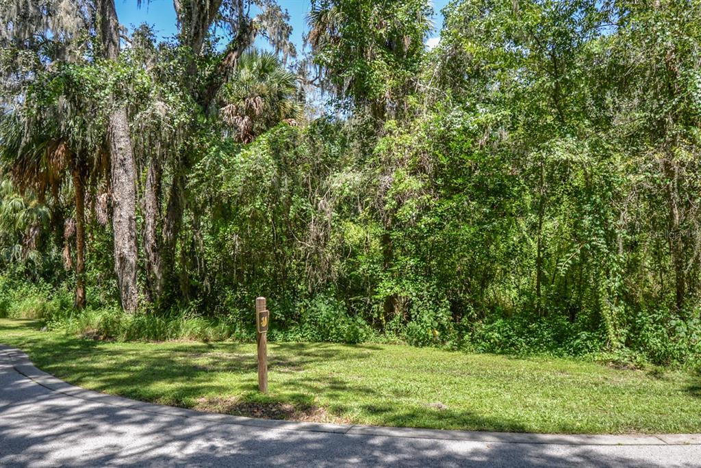 4808 Rambling River Road Brandon, FL 33511 - Photo 3 of 11