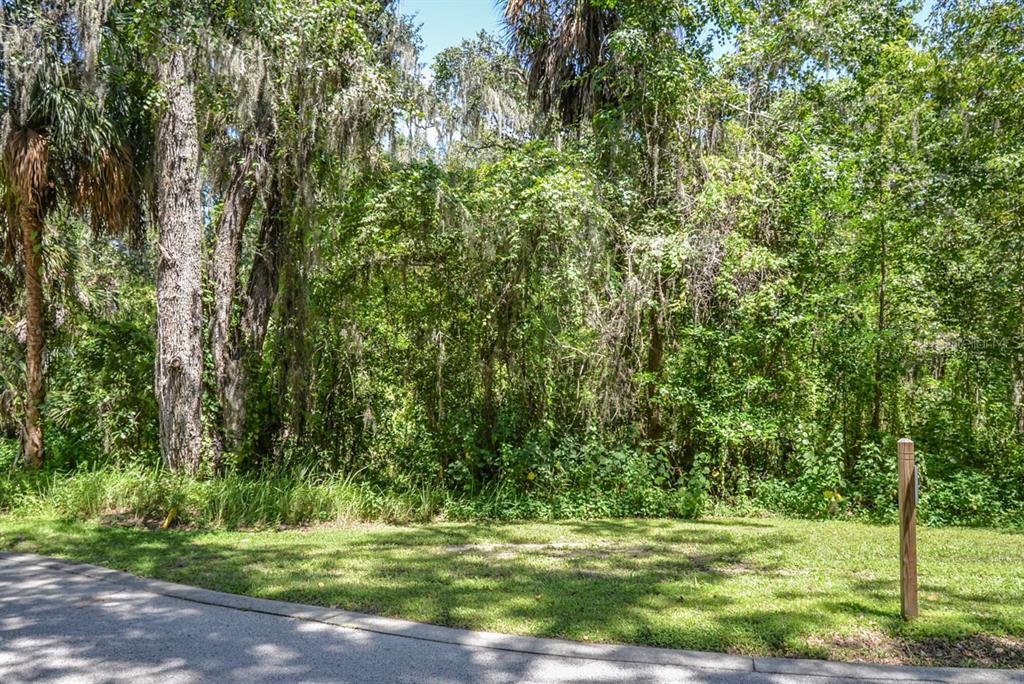 4808 Rambling River Road Brandon, FL 33511 - Photo 4 of 11