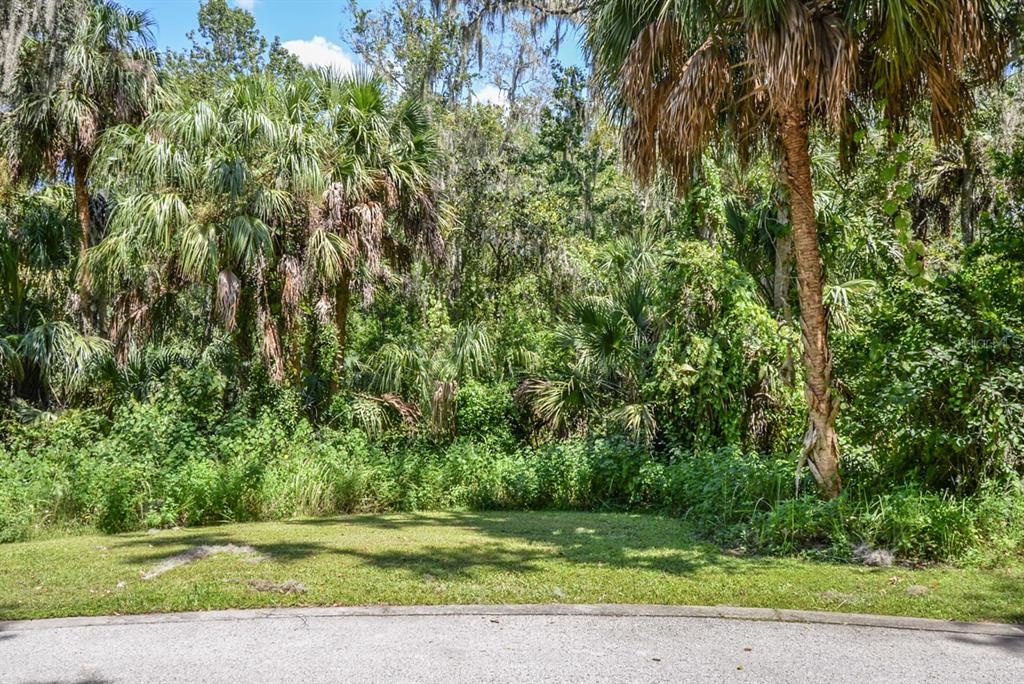 4808 Rambling River Road Brandon, FL 33511 - Photo 5 of 11