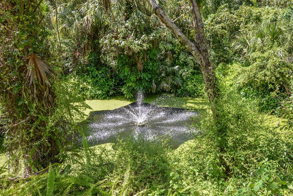 4808 Rambling River Road Brandon, FL 33511 - Photo 7 of 11