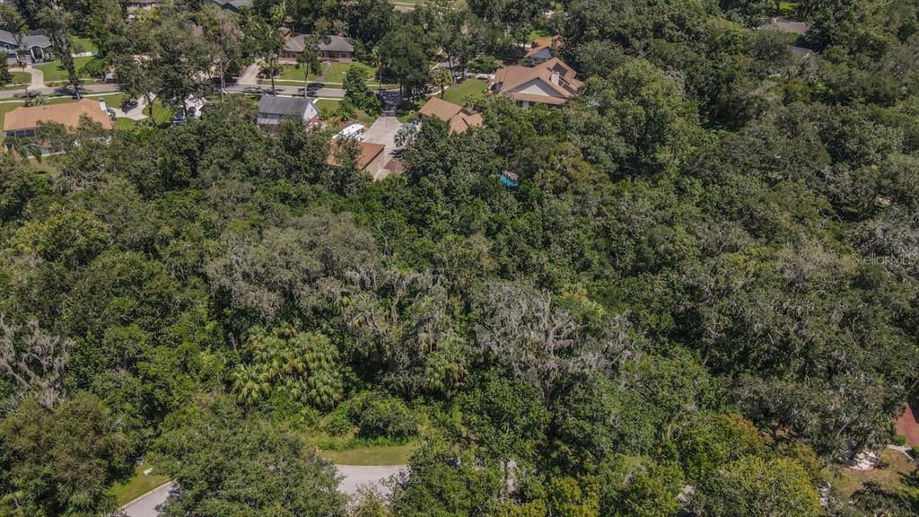 4808 Rambling River Road Brandon, FL 33511 - Photo 9 of 11
