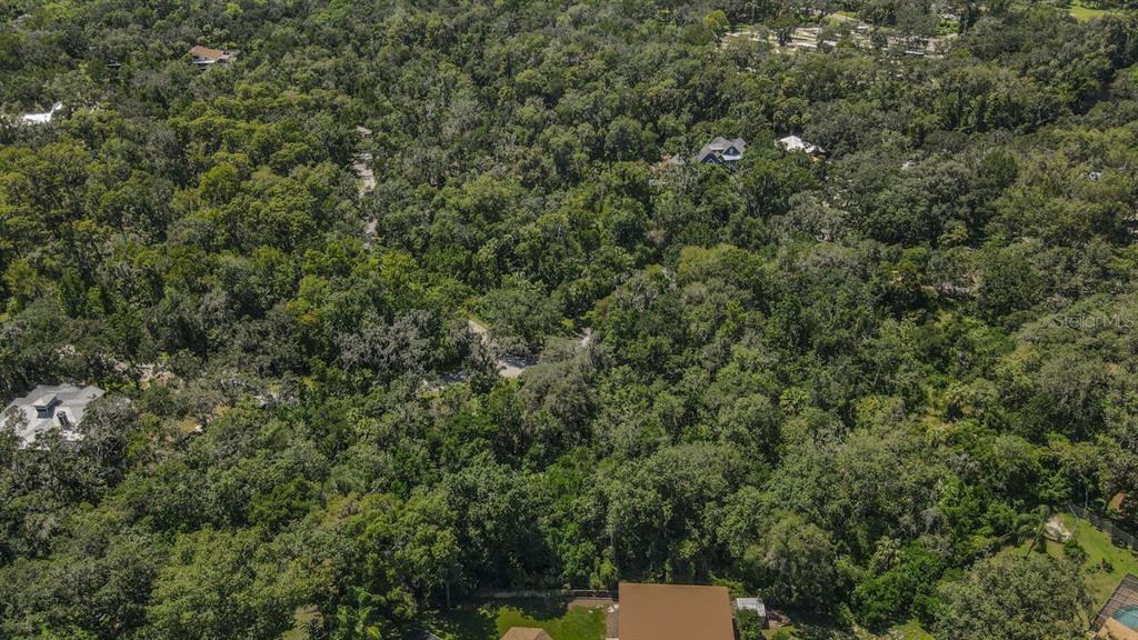 4808 Rambling River Road Brandon, FL 33511 - Photo 10 of 11