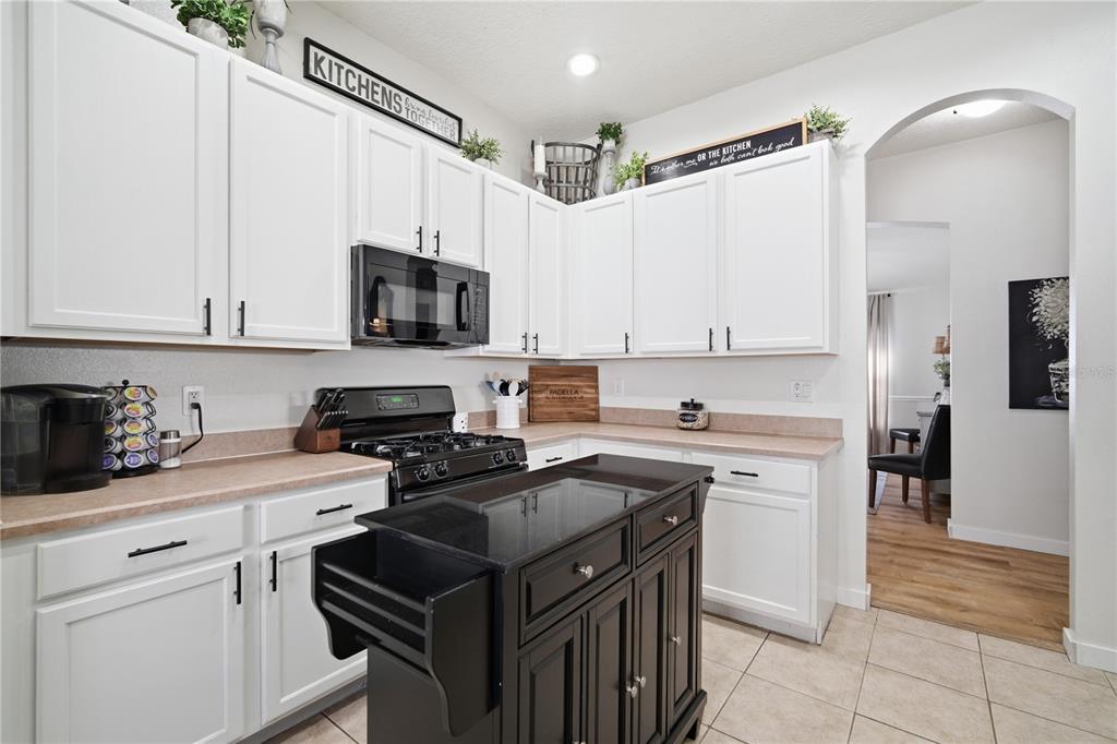 6325 Bridgecrest Drive Lithia, FL 33547 - Photo 13 of 72 a kitchen with a sink a stove and cabinets