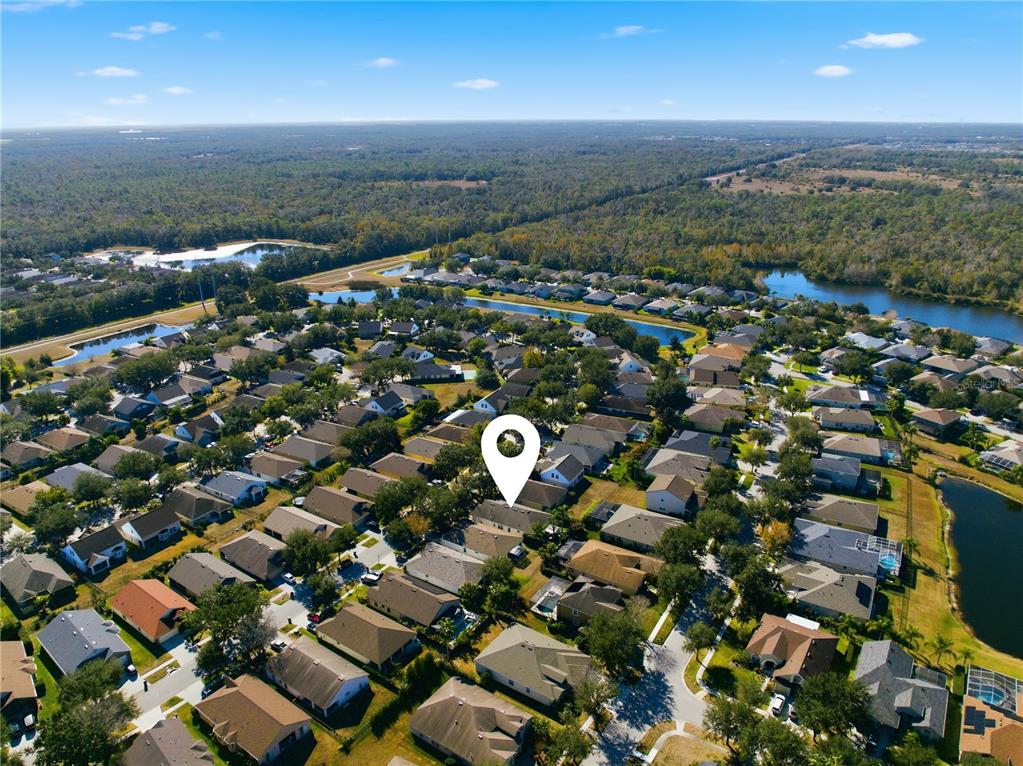 6325 Bridgecrest Drive Lithia, FL 33547 - Photo 66 of 72 an aerial view of a city