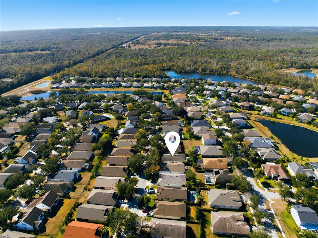 6325 Bridgecrest Drive Lithia, FL 33547 - Photo 70 of 72