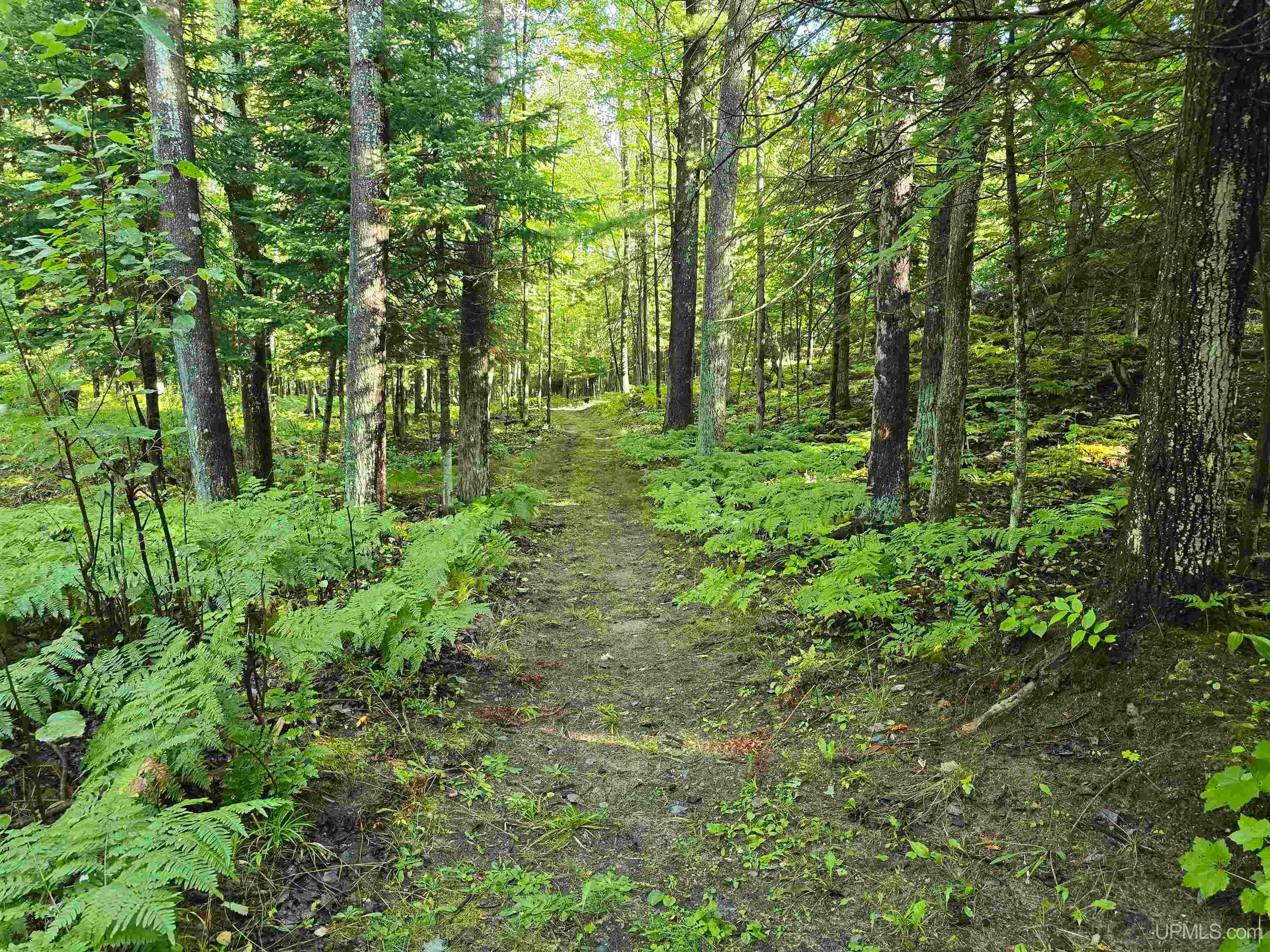 402 County 550 Road Marquette, MI 49855 - Photo 62 of 80 Gallery Image 62