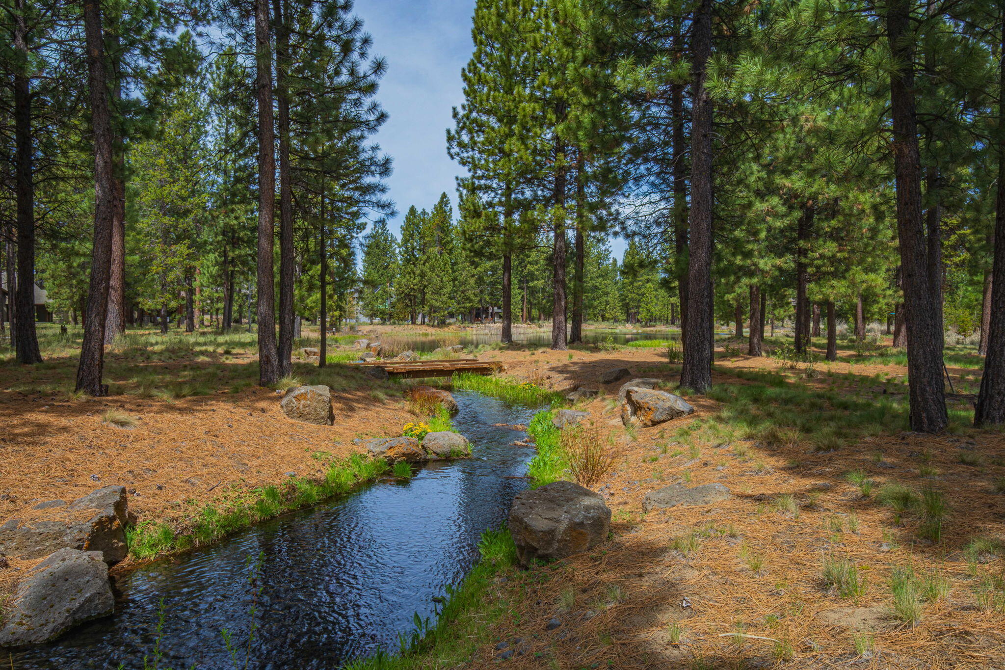 56328 Fireglass Loop Bend, OR 97707 - Photo 58 of 72 Stream feeding Fireglass Lake.