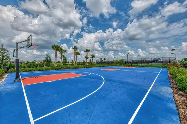 a living room with furniture potted plant and a window