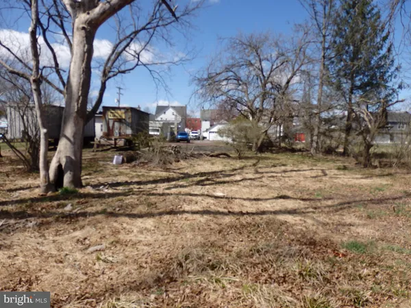 a view of a yard with a large tree