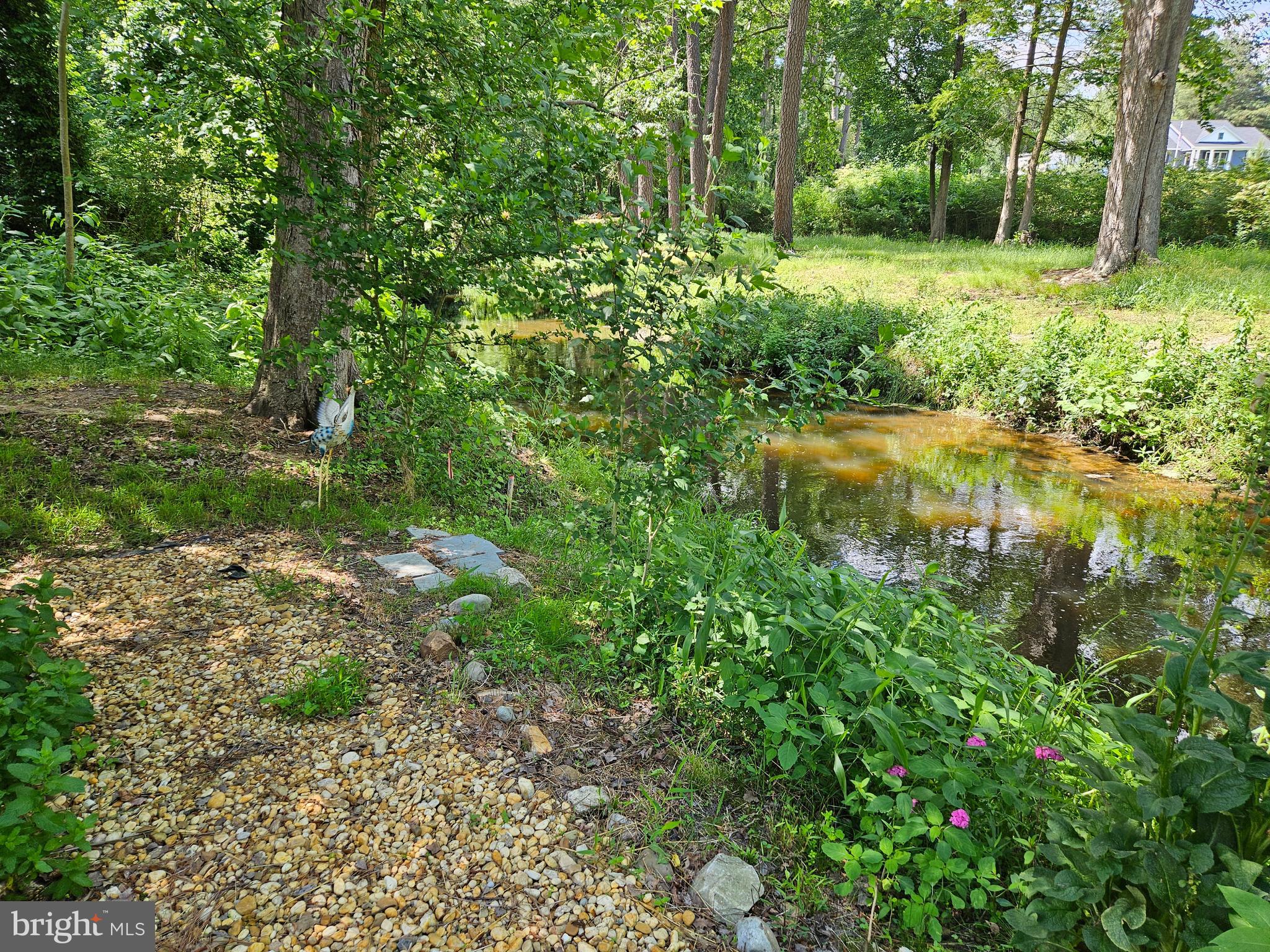 9177 Sharptown Road Laurel, DE 19956 - Photo 11 of 68 Stream at back of property