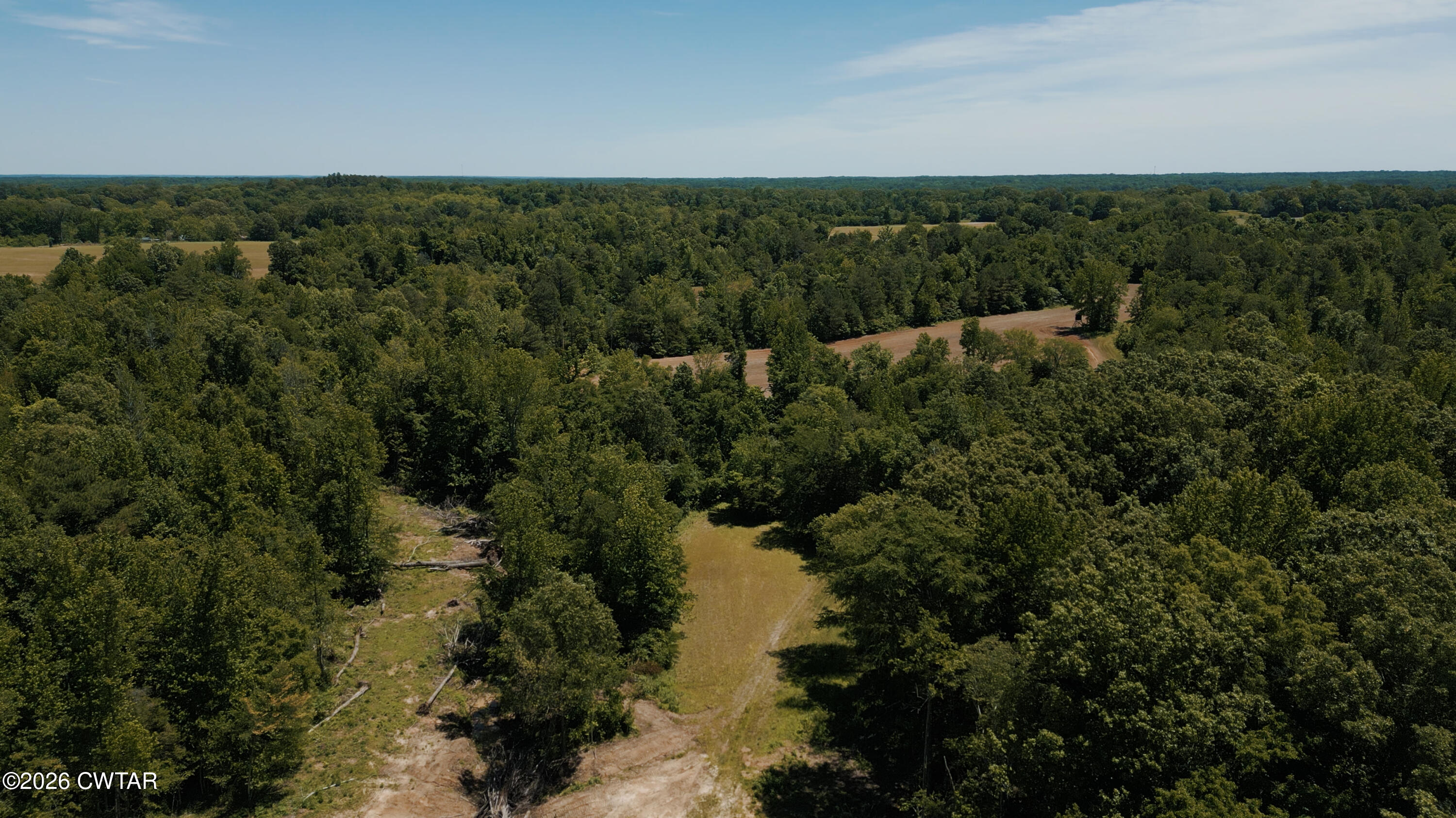 0 Eurekaton Road Whiteville, TN 38075 - Photo 11 of 25 IMG_1006