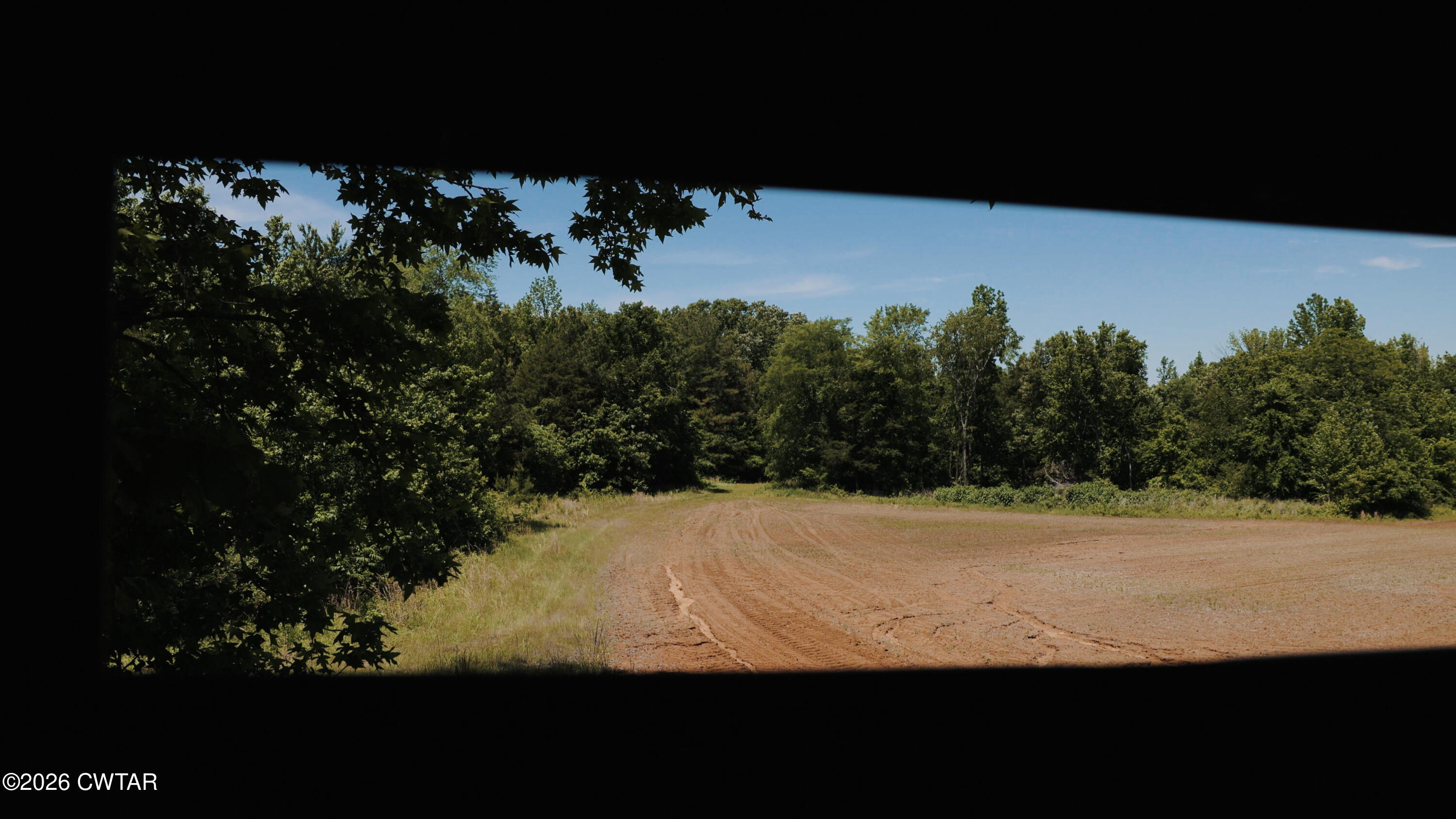 0 Eurekaton Road Whiteville, TN 38075 - Photo 20 of 25 IMG_0990