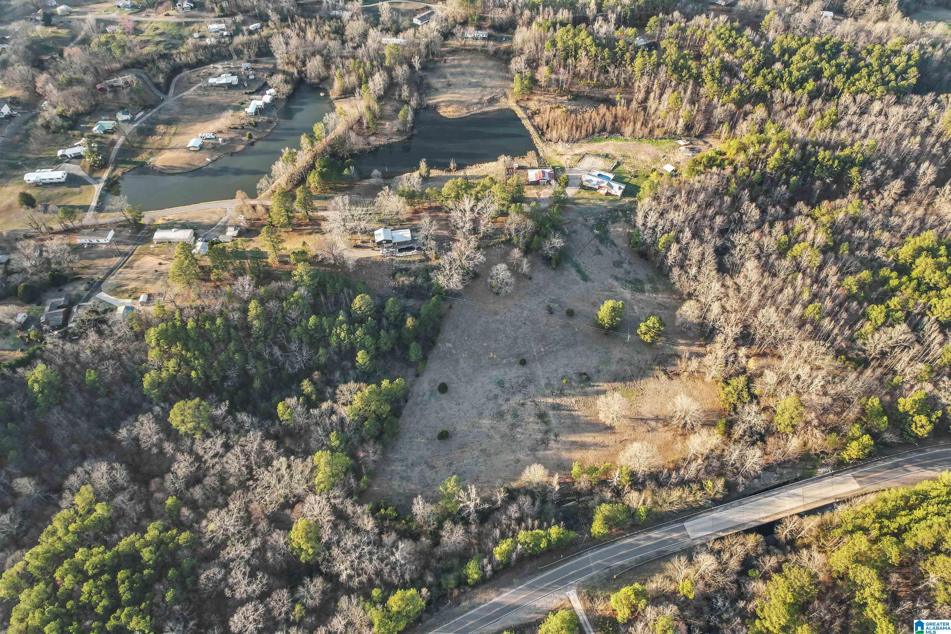 7080 Parsons Lake Road Adger, AL 35006 - Photo 3 of 59