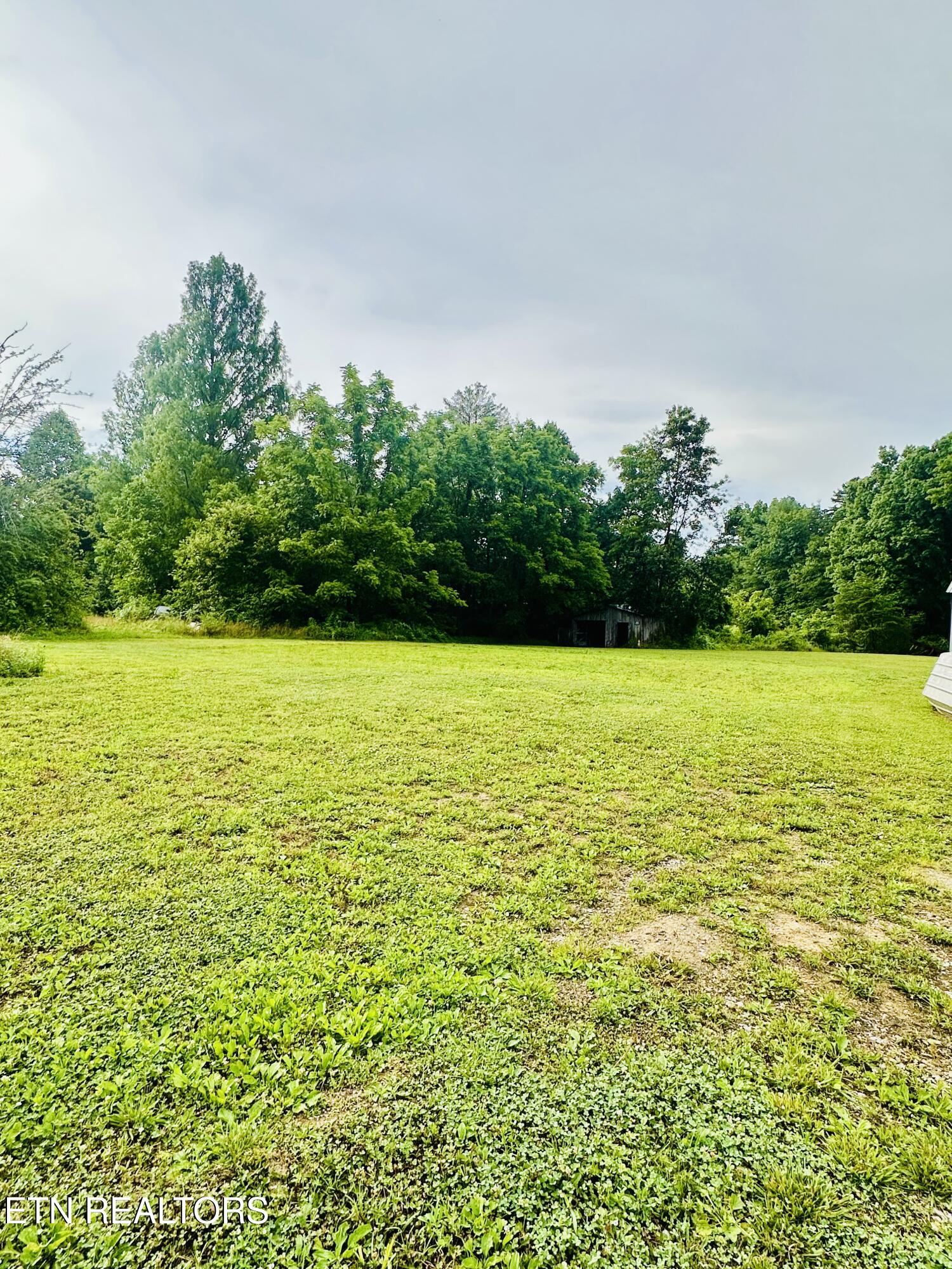 1240 Burrville Road Sunbright, TN 37872 - Photo 22 of 27 IMG_5584