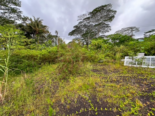 14-3479 Lot 930 & 931 Shell Road Pahoa, HI 96778 - Photo 8 of 14 Gallery Image 8