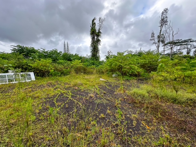 14-3479 Lot 930 & 931 Shell Road Pahoa, HI 96778 - Photo 10 of 14 Gallery Image 10