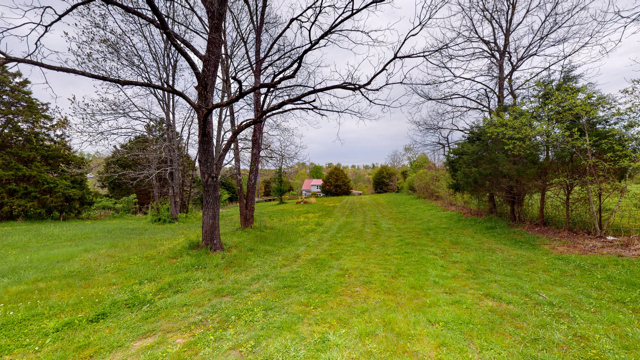 329 Mt Lebanon Road Lawrenceburg, TN 38464 - Photo 42 of 50 Gallery Image 42
