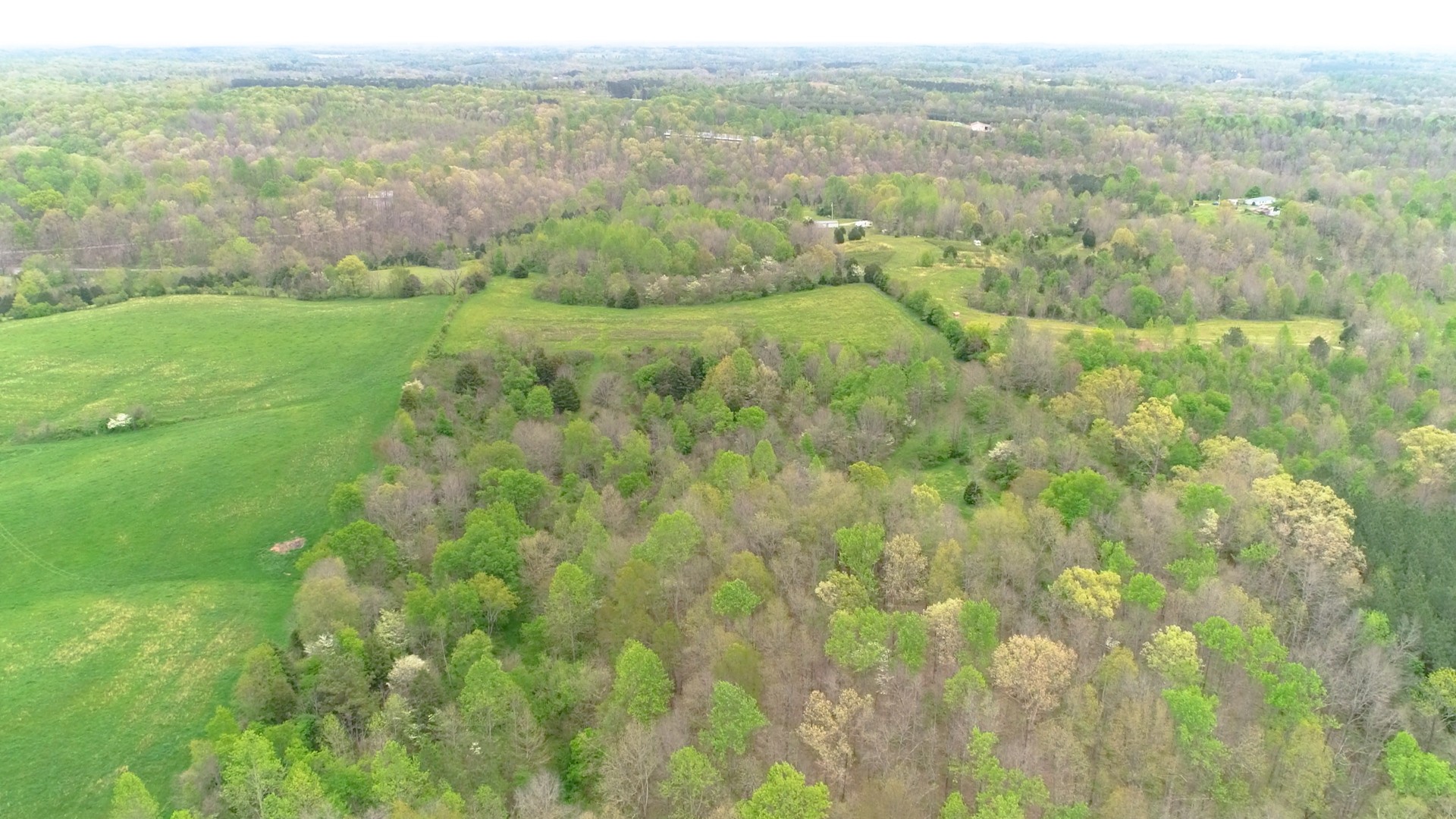 329 Mt Lebanon Road Lawrenceburg, TN 38464 - Photo 45 of 50 Gallery Image 45