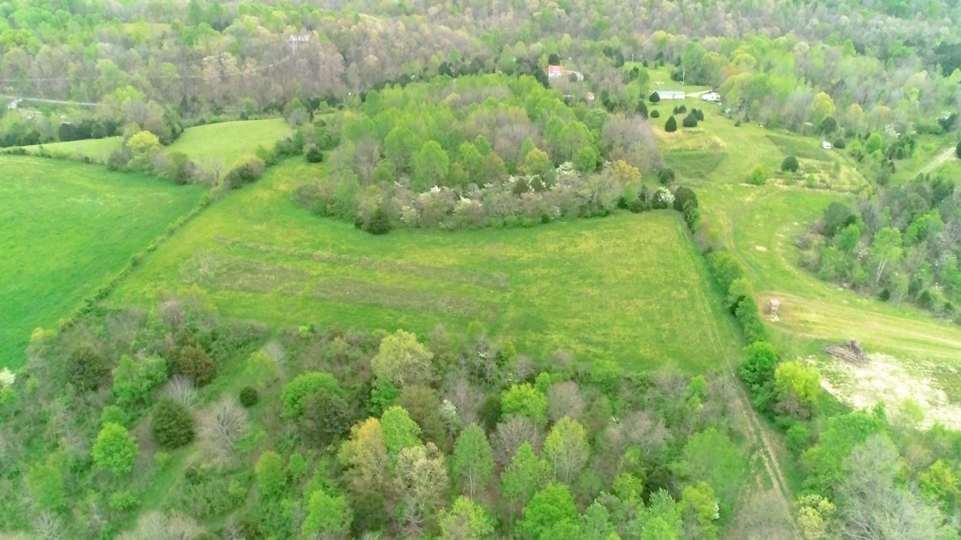 329 Mt Lebanon Road Lawrenceburg, TN 38464 - Photo 47 of 50 Gallery Image 47