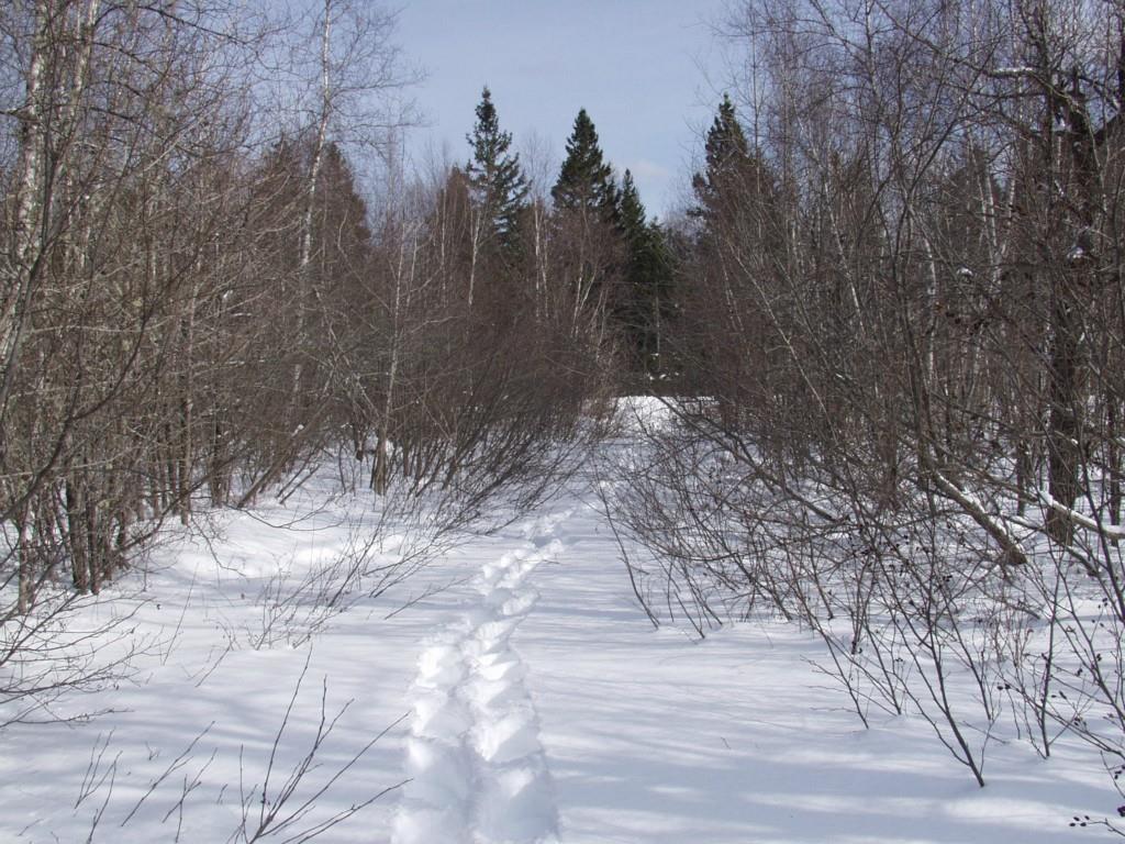 155 West Side Road Addison, ME 04606 - Photo 5 of 12 Photo