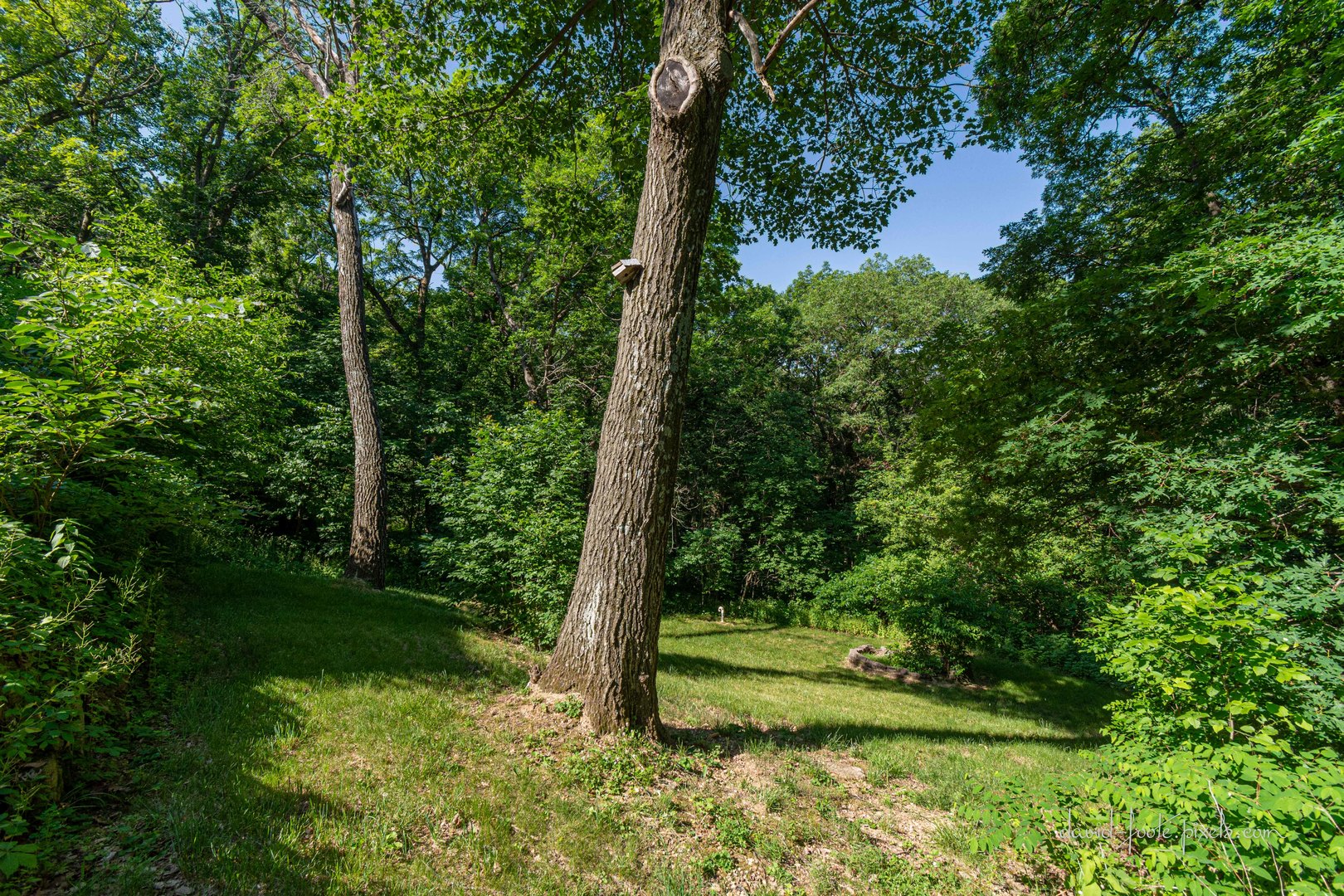 18 Lookout Trace Galena, IL 61036 - Photo 52 of 56 a view of a yard with large trees