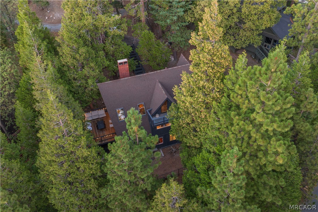 399 Rainier Road Lake Arrowhead, CA 92352 - Photo 48 of 48 Gallery Image 48