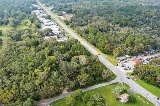 a view of a garden with plants and flowers