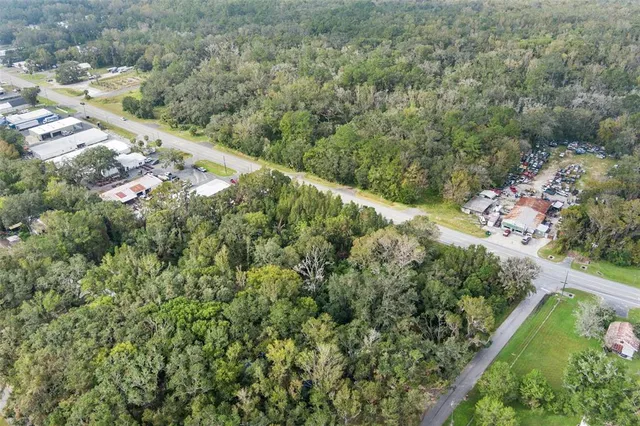 a view of a forest with a lush green forest