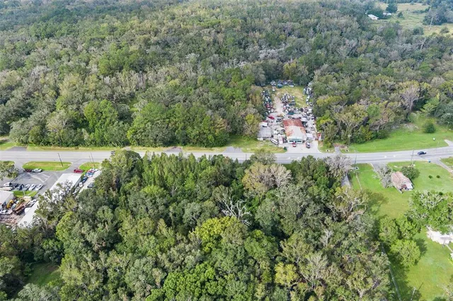 a view of a garden with plants and large trees
