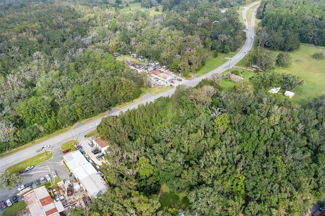 a view of a forest with a lush green forest