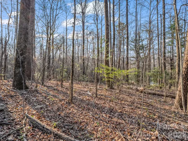 $44,000 | Tbd Mountain Lakes Drive, Unit 460, Tryon, NC 28782