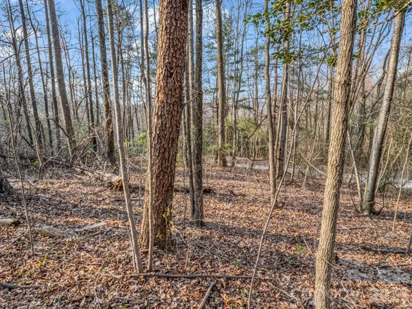 $44,000 | Tbd Mountain Lakes Drive, Unit 460, Tryon, NC 28782