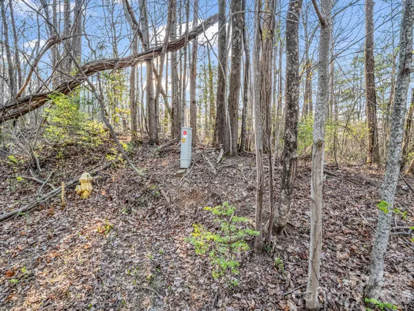 $44,000 | Tbd Mountain Lakes Drive, Unit 460, Tryon, NC 28782