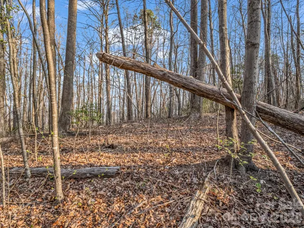 $44,000 | Tbd Mountain Lakes Drive, Unit 460, Tryon, NC 28782