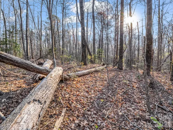 $44,000 | Tbd Mountain Lakes Drive, Unit 460, Tryon, NC 28782