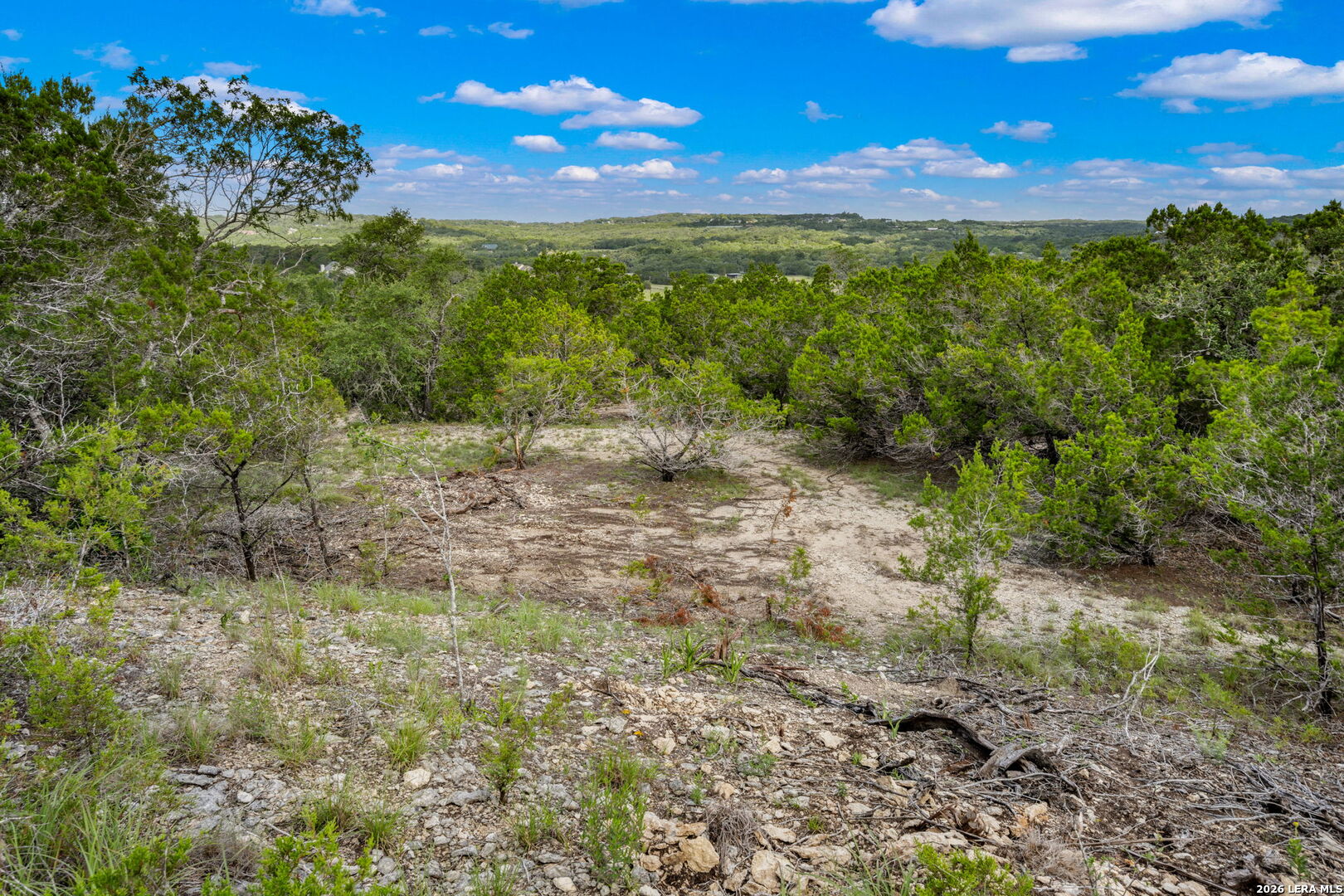 335 Shepherds Ranch Bulverde, TX 78163 - Photo 4 of 11