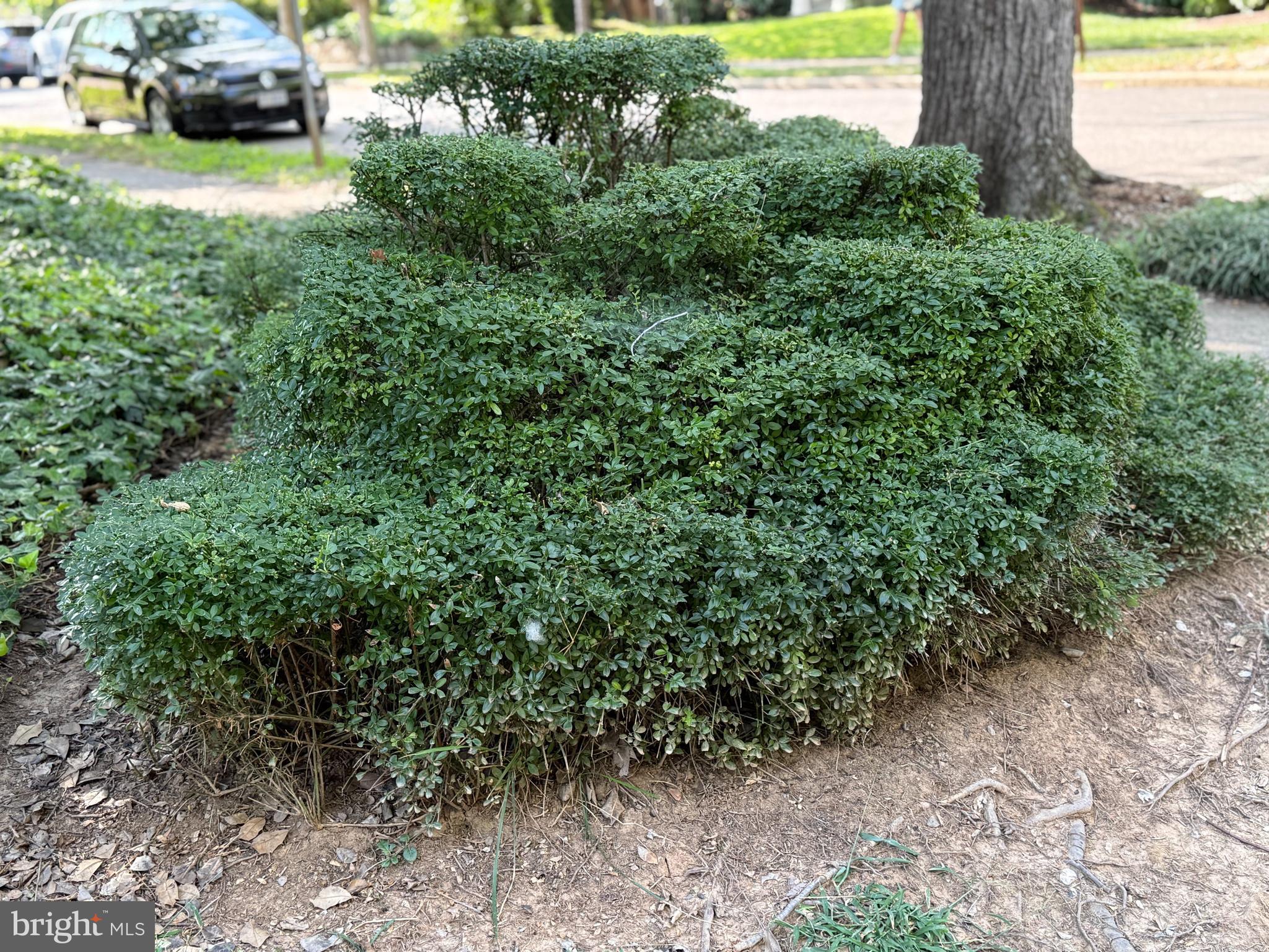 5008 44th Street Northwest Washington, DC 20016 - Photo 28 of 39 a view of car parked in yard