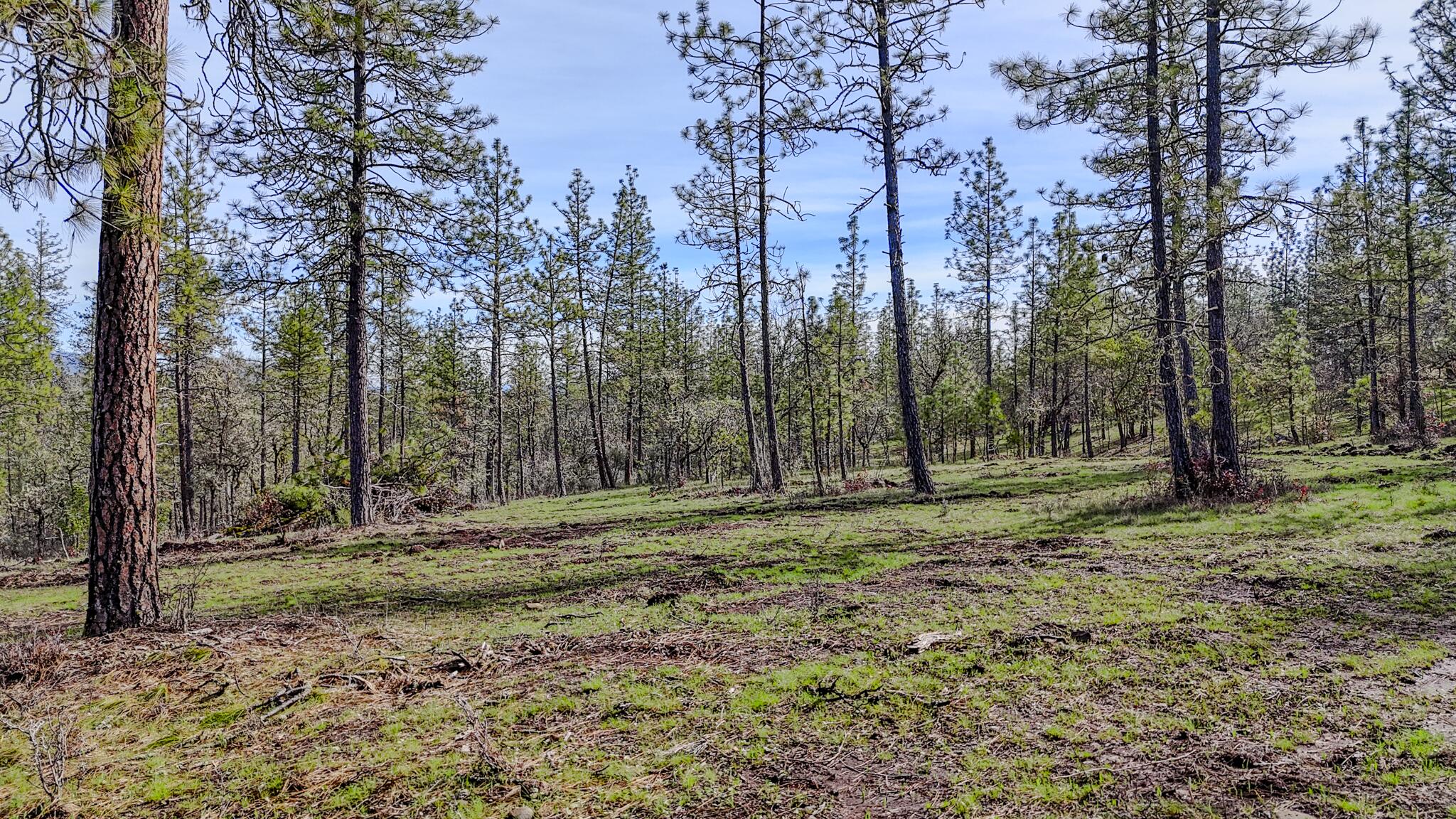 506 Greenleaf Drive Eagle Point, OR 97524 - Photo 34 of 38 DJI_20260227141543_0586_D-HDR