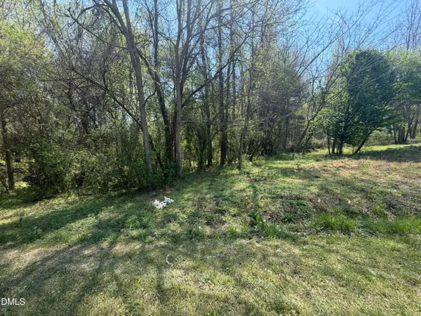 a big yard with lots of green space and deers