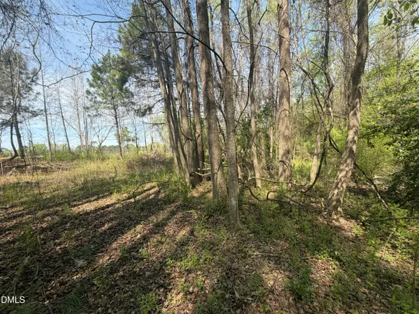 a view of a yard with large trees