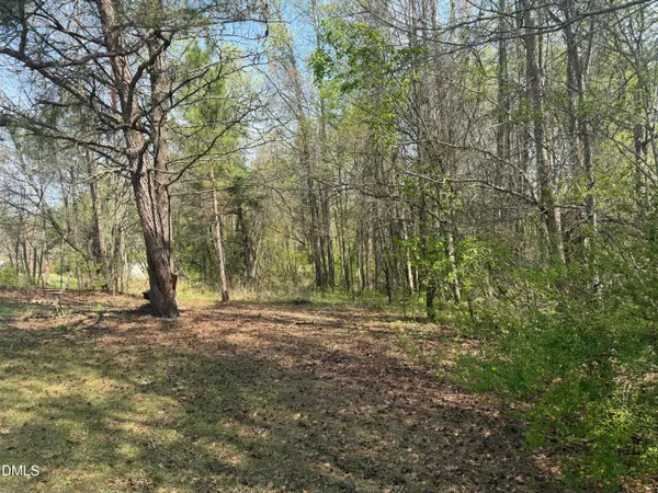 a big yard with lots of green space and house