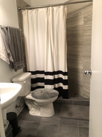 2022 South Throop Street, Unit 1W Chicago, IL 60608 - Photo 11 of 13 a bathroom with a toilet and a sink