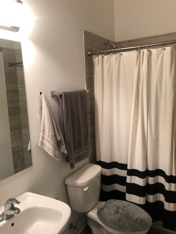 2022 South Throop Street, Unit 1W Chicago, IL 60608 - Photo 12 of 13 a bathroom with a sink toilet and shower