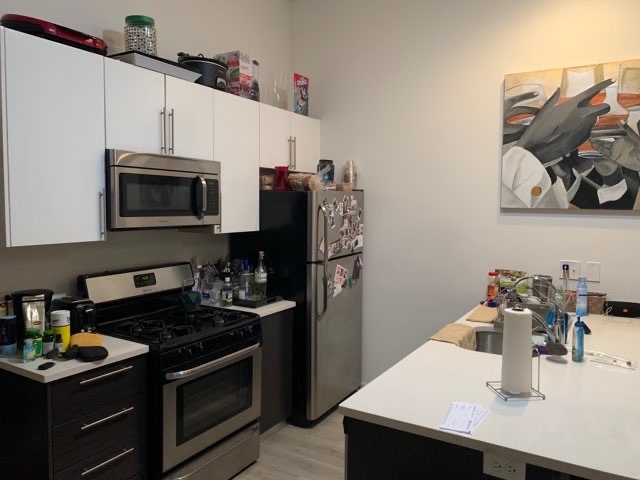 2022 South Throop Street, Unit 1W Chicago, IL 60608 - Photo 3 of 13 a kitchen with stainless steel appliances a stove a microwave a sink and cabinets