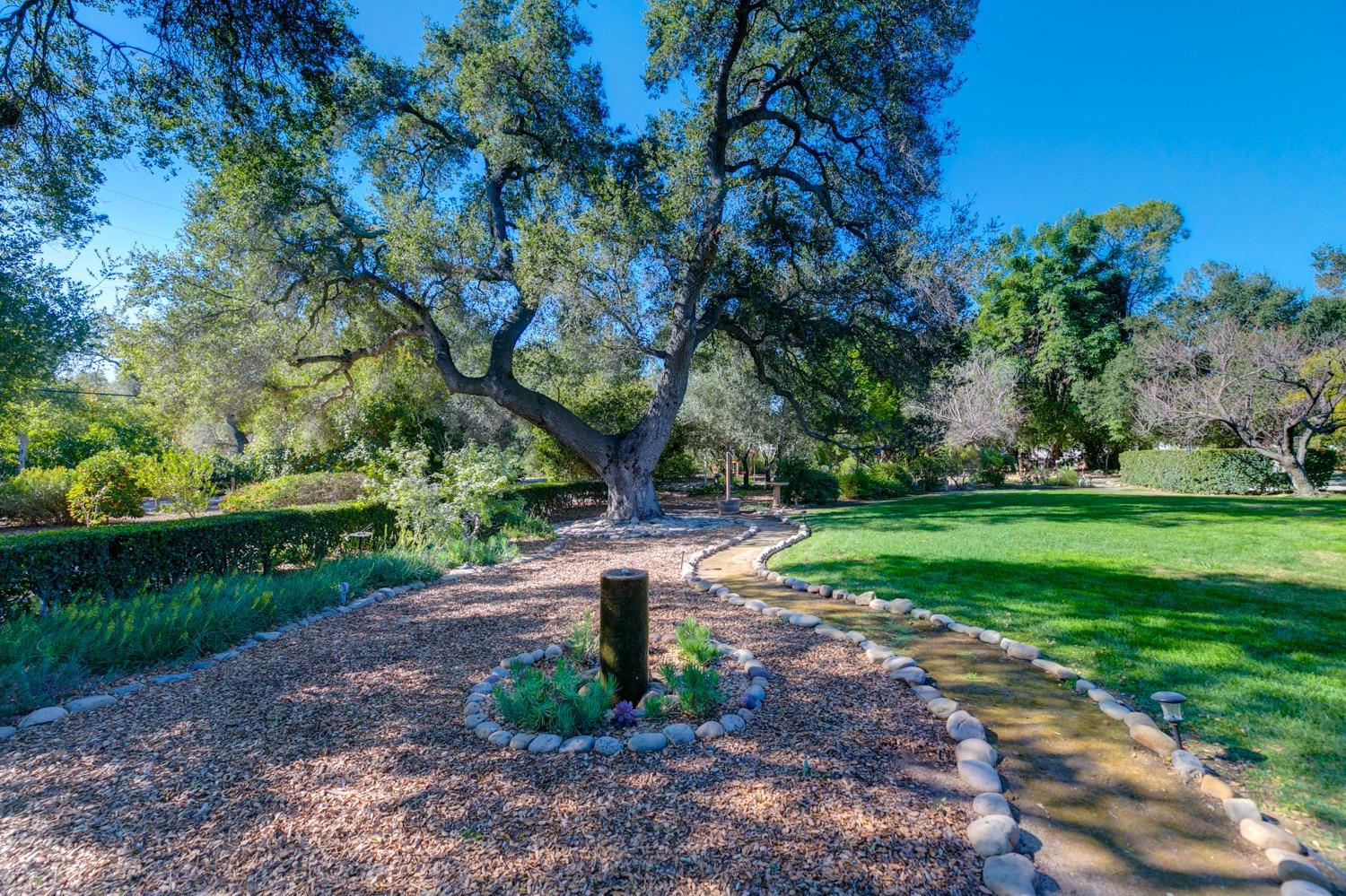 918 El Toro Road Ojai, CA 93023 - Photo 41 of 43 a view of a garden with trees