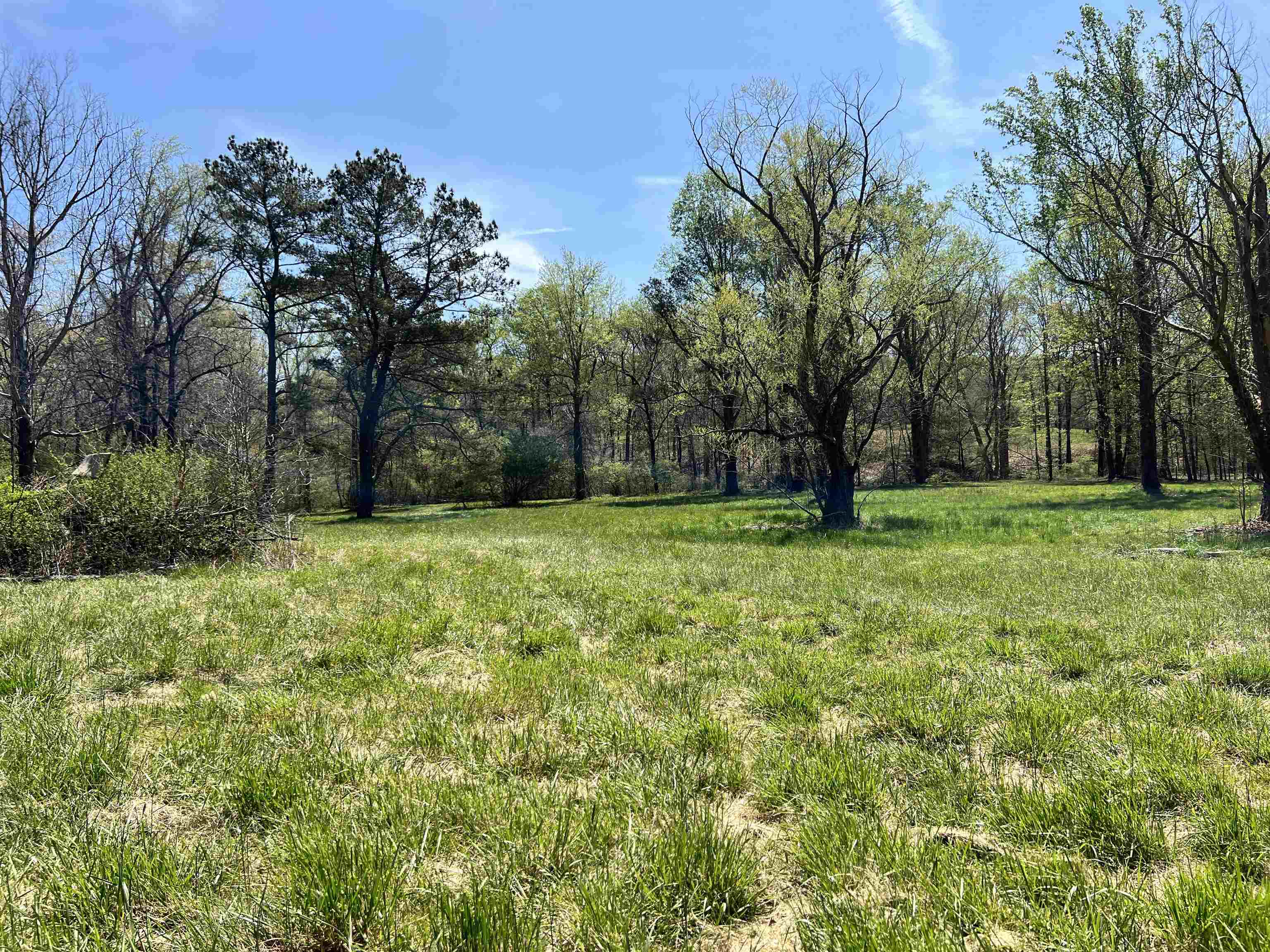 310 Green River Road Chesnee, SC 29323 - Photo 50 of 50 Gallery Image 50
