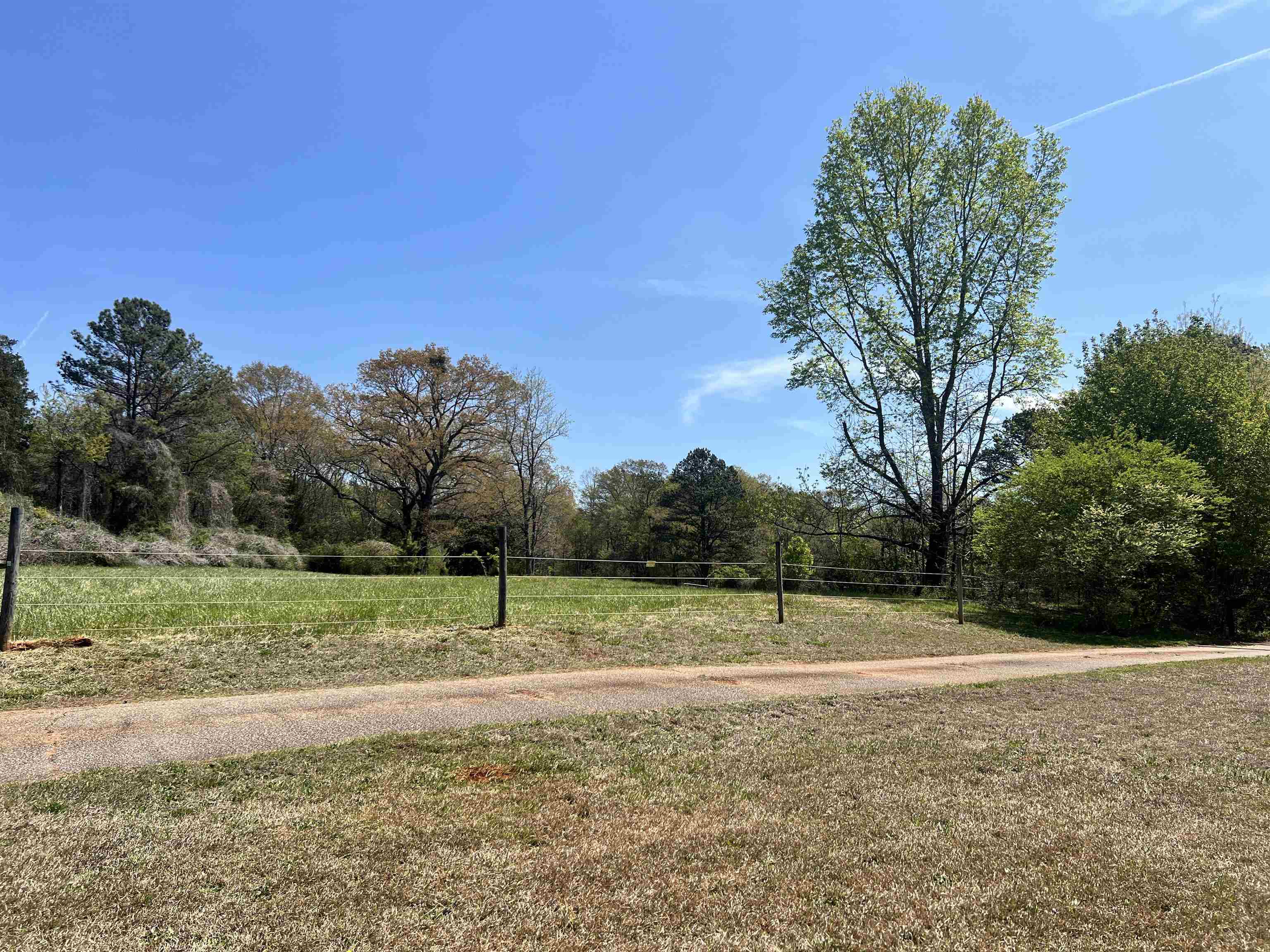 310 Green River Road Chesnee, SC 29323 - Photo 6 of 50 Gallery Image 6