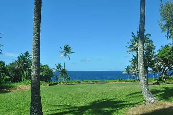 $175,000 | 15-285 Puni Makai Loop North, Pahoa, HI 96778