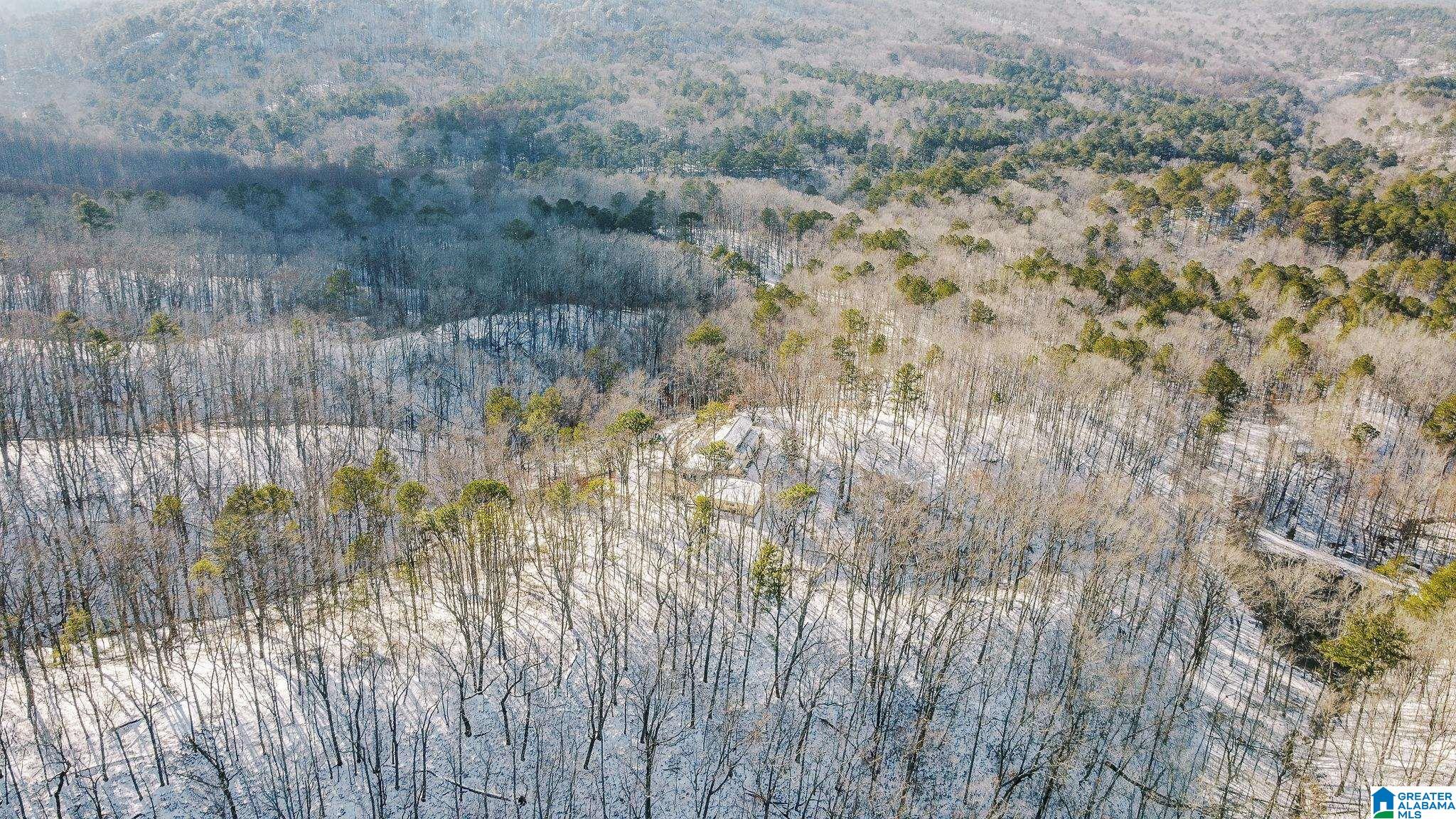 5325 Union T Road Talladega, AL 35160 - Photo 79 of 83